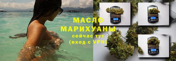 хмурый Верея