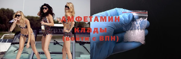 хмурый Верея