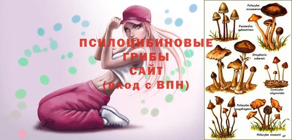 экстази Володарск